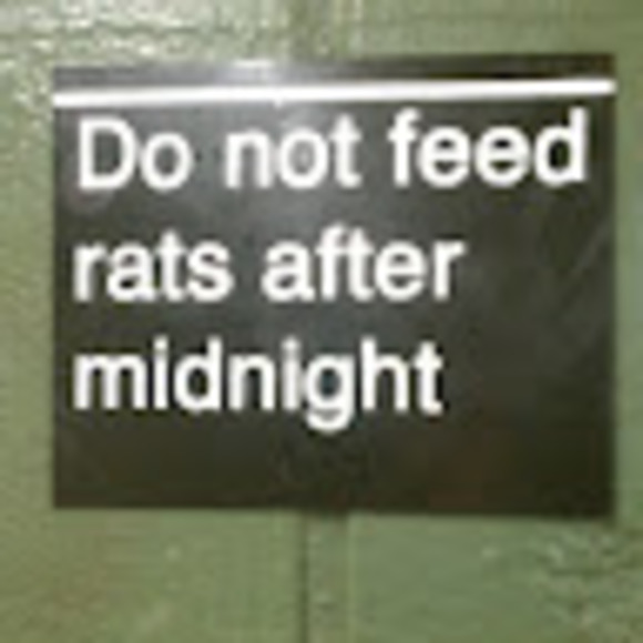 Meet your Posher, Corey - Picture 1 of 1